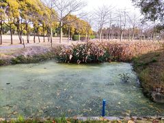 -广东花都香草世界旅游度假区
