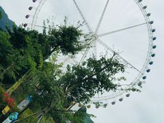 -望天湖