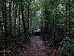 -武吉知马自然保护区