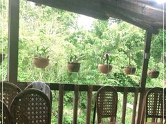 -傣泐金湾餐厅