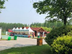 -黄海国家森林公园