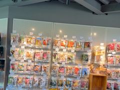 -爪吧宠物乐园·宠物泳池(温榆河示范区店)