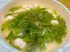-丁老爷子苏香圆