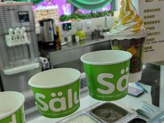 -Salud撒露欧洲冻酸奶(五道口购物中心店)