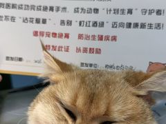 -瑞鹏宠物医院·爱宠堂·骨外专科(西荷分院)