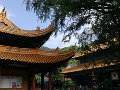 -普陀山风景名胜区-法雨禅寺