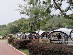 -龙寺生态园