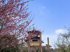 -杭州半山国家森林公园