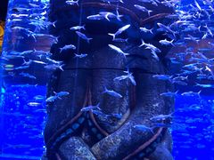 -波塞冬旅游度假区