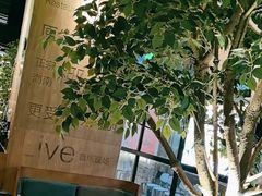 -同仁四季椰子鸡(海岸城天利店)