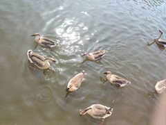 -沈阳鸟岛