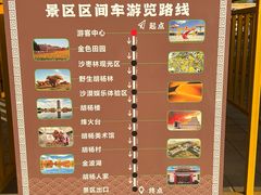 -金塔沙漠胡杨林景区