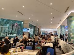 -帝企鹅自助餐厅•儿童岛•真企鹅(长隆企鹅酒店)