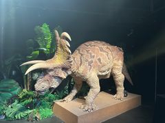 -正佳自然科学博物馆