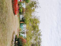 -鹅湖玫瑰文化园