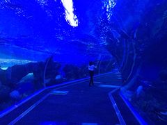 -成都浩海立方海洋公园