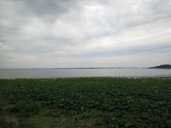 -梁子湖风景区