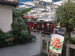 -特味村·宴会厅(生态园店)