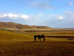 -塞罕坝国家级自然保护区