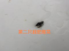 -台山第一家兴华黄鳝饭·黄鳝婆(彭沙坑总店)