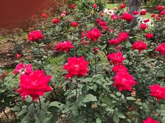 -人民公园(罗湖区)