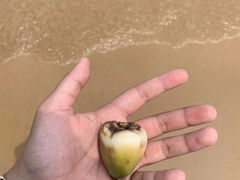 -西秀海滩公园