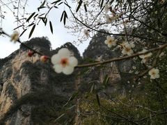 -光雾山旅游景区