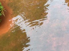 -赤水丹霞旅游区·佛光岩