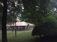 -森波拉火山温泉