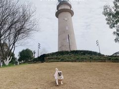 -金海湾滨江公园