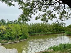 -塘沽森林公园