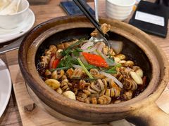 -永記粤菜·五指毛桃花雕鸡煲(九亭店)