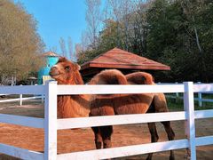 -哈尔滨北方森林动物园