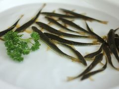 -锦河别院酒楼