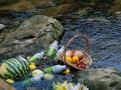 -曹杨八村
