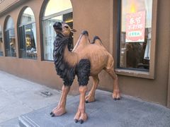 -巴尔喀十新疆餐厅(开发区店)