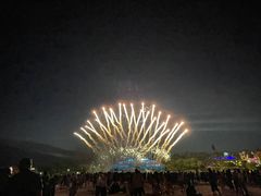 -大塘金香草谷