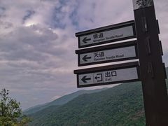 -海南霸王岭国家森林公园