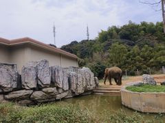 -宁波野生动物园