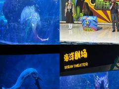 -郑州海洋馆