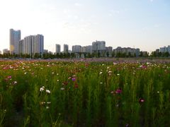 -哈尔滨大剧院