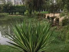 -厦门悦华酒店