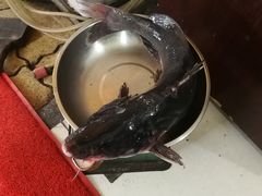 -金海椒罐罐鲢鱼(东方桂苑店)