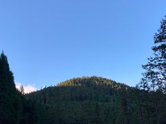 -武陵山森林公园