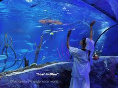 -沈阳海洋探索中心