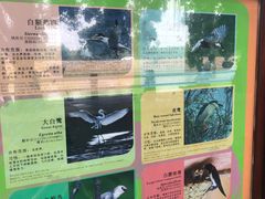 -大湾区中央湿地公园