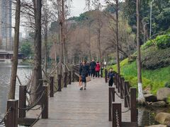 -重庆彩云湖湿地公园