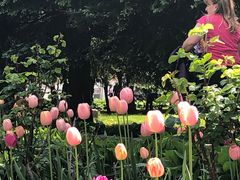 -谢尔盖圣三一大修道院