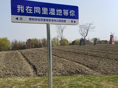 -同里国家湿地公园