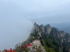 -老君山风景名胜区